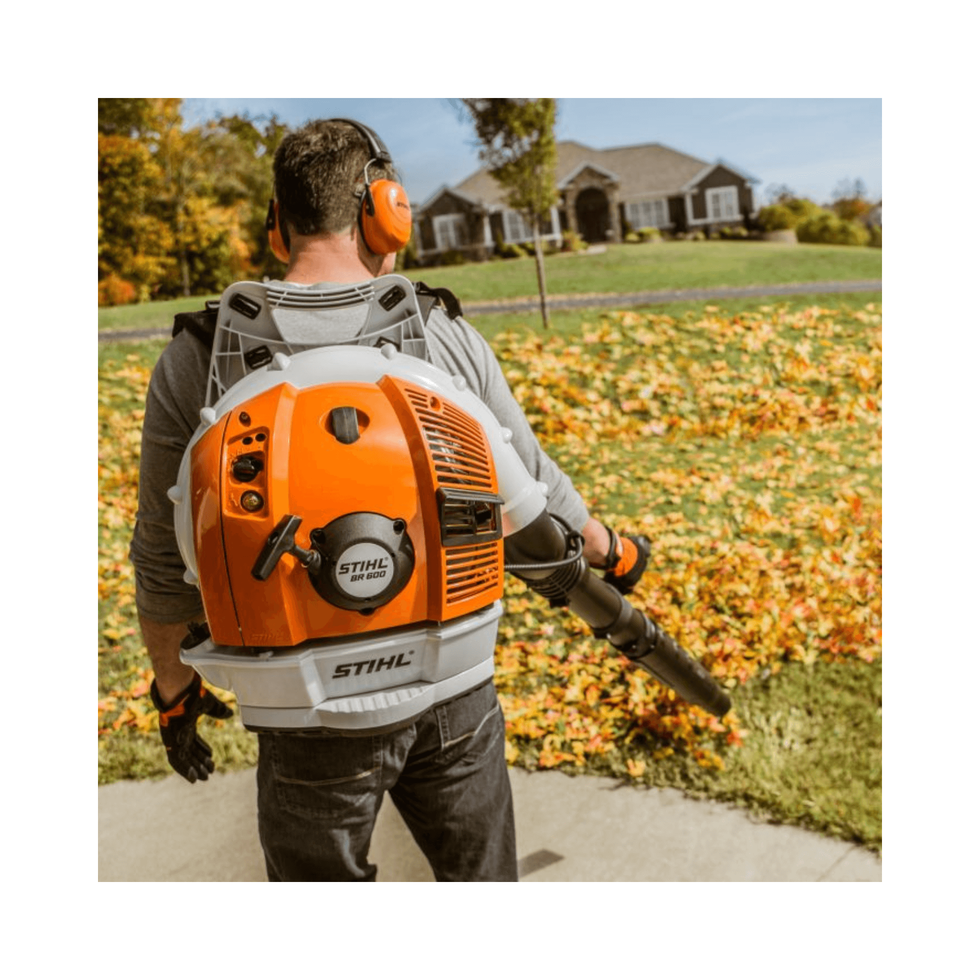 BR 600 Petrol Backpack Leaf Blower in use, clearing leaves in a yard with a professional-grade blower.