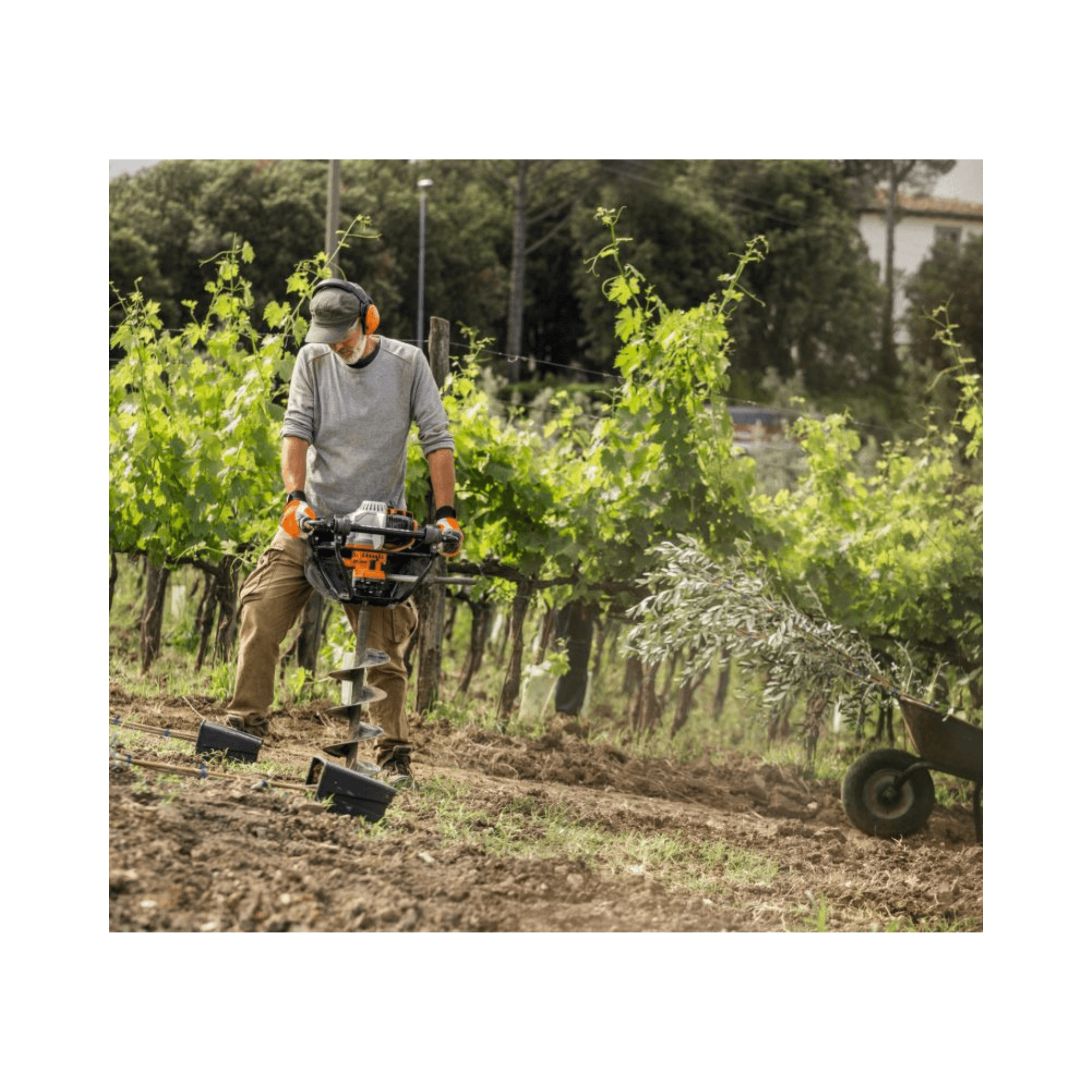 User operating a BT 131 Petrol Earth Auger in a vineyard for efficient drilling.