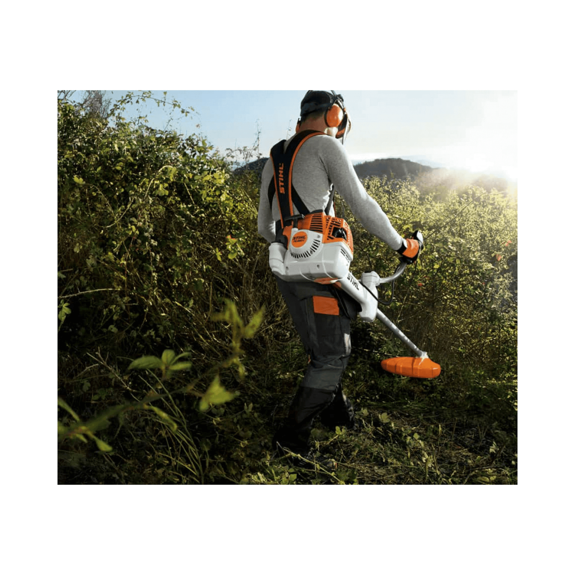 Professional using STIHL FS 491 C-EM petrol clearing saw in a lush landscape for tree maintenance.