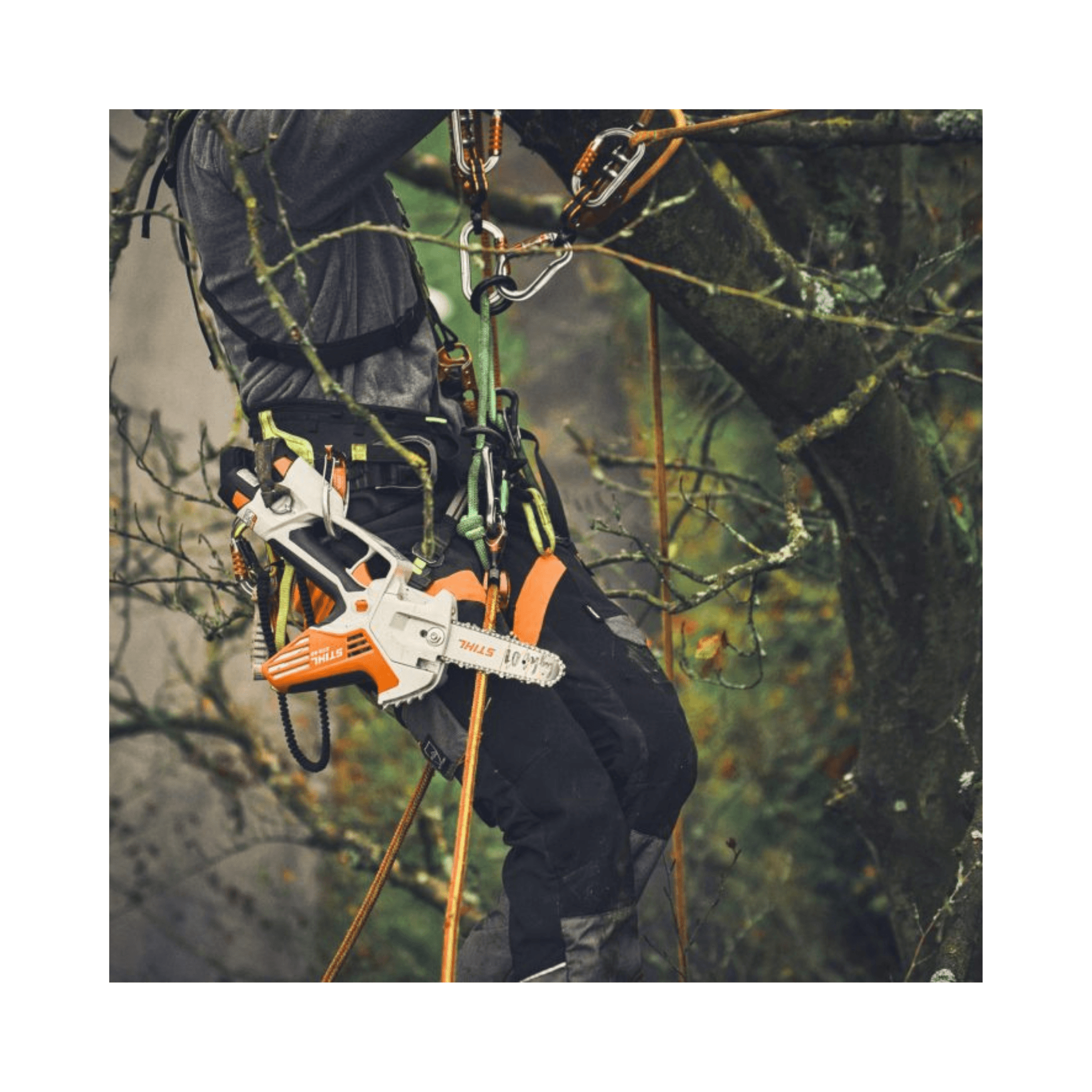 GTA 30 / GTA 40 Light Chainsaw Guide Bar 6" on a professional working with a climbing harness in a tree.