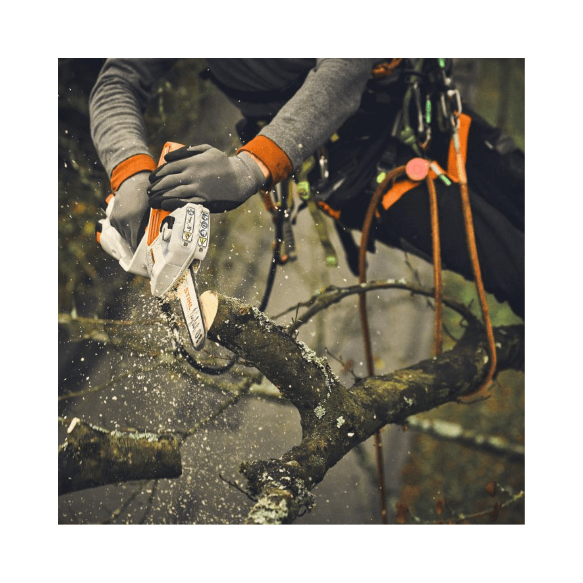 GTA 30 / GTA 40 Light Chainsaw Guide Bar 6" in action, cutting through a tree branch.