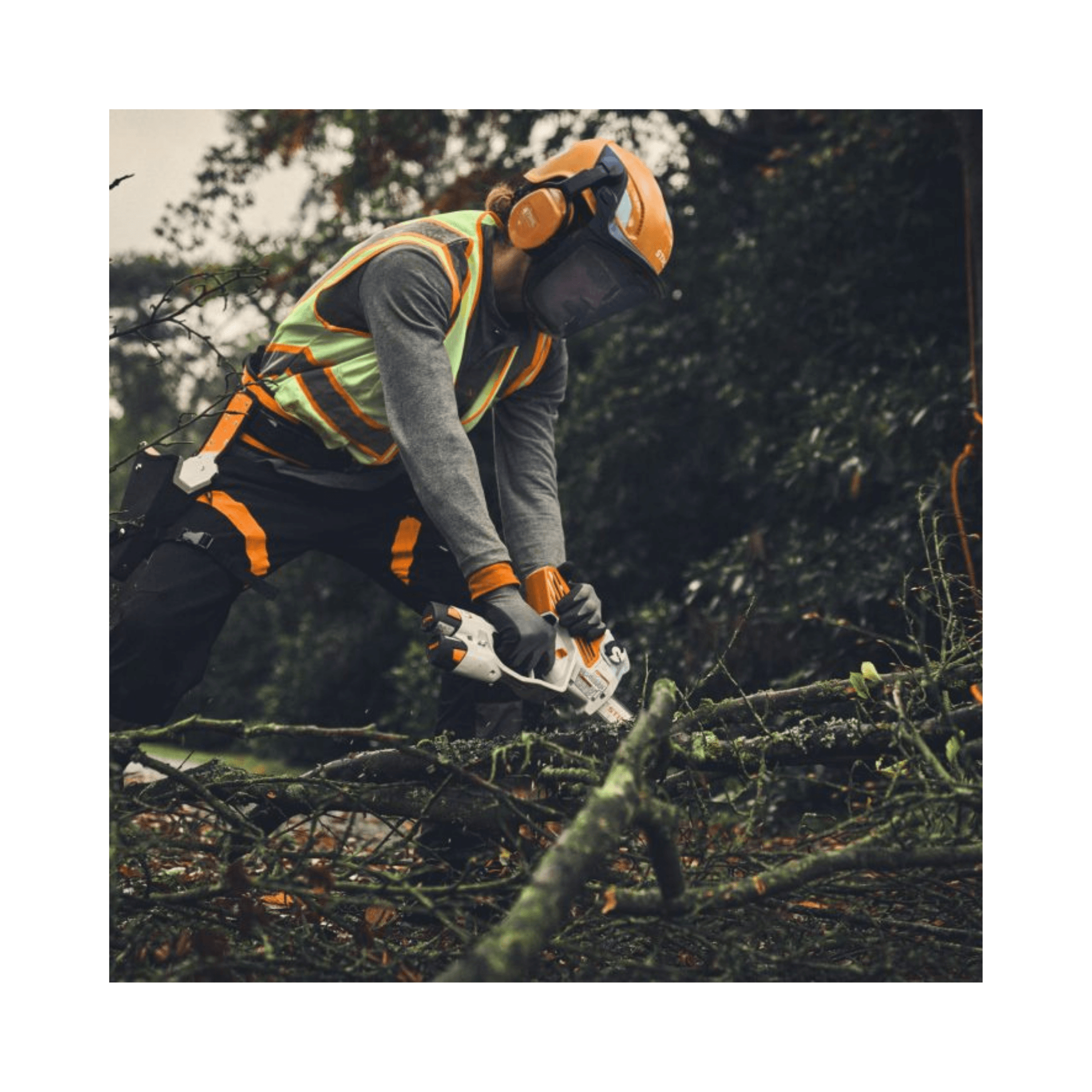 GTA 30 / GTA 40 Light Chainsaw Guide Bar 6" used in tree pruning by a worker wearing safety gear.