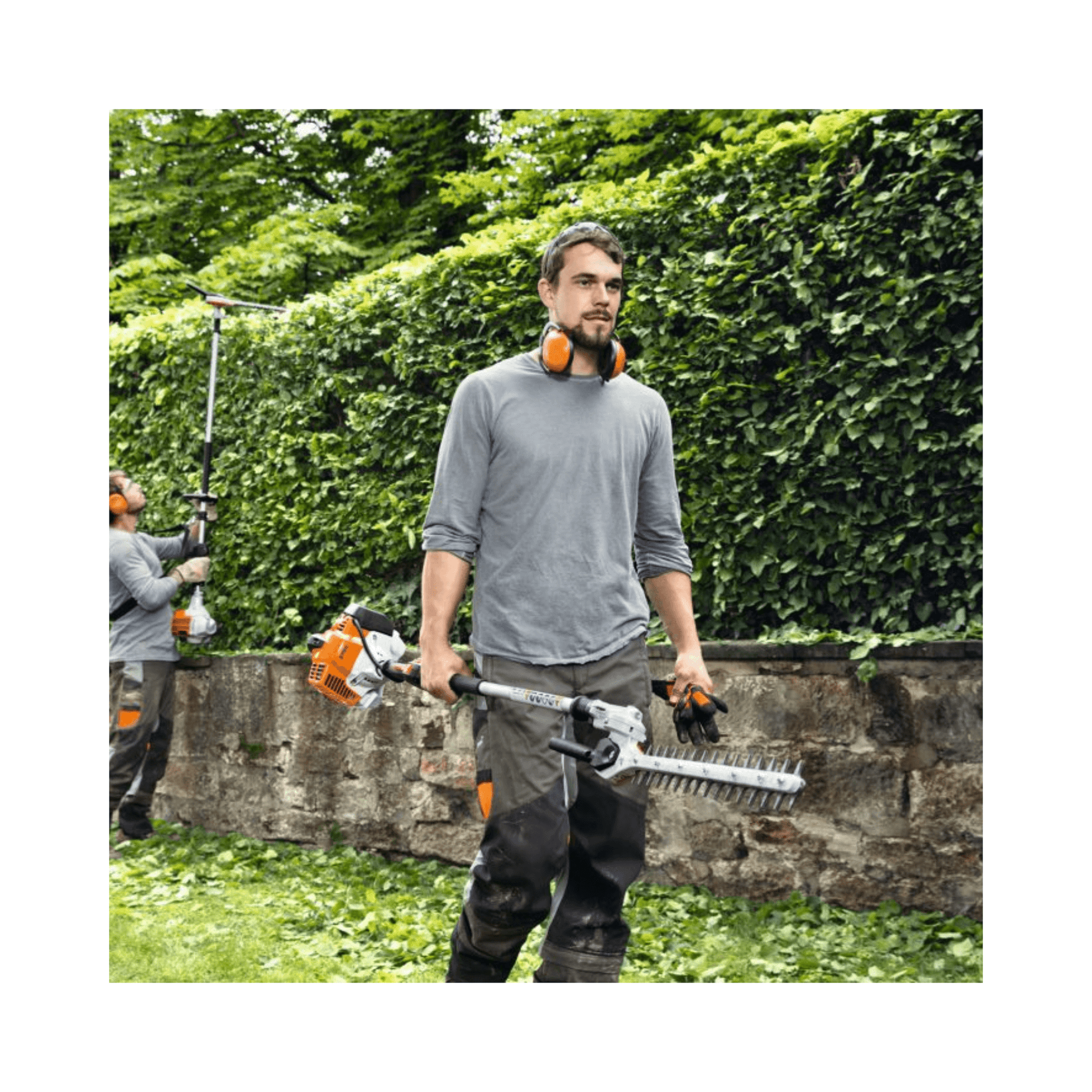 Man using HL 92 C-E Long Reach Petrol Hedge Trimmer for precise hedge shaping in a garden.