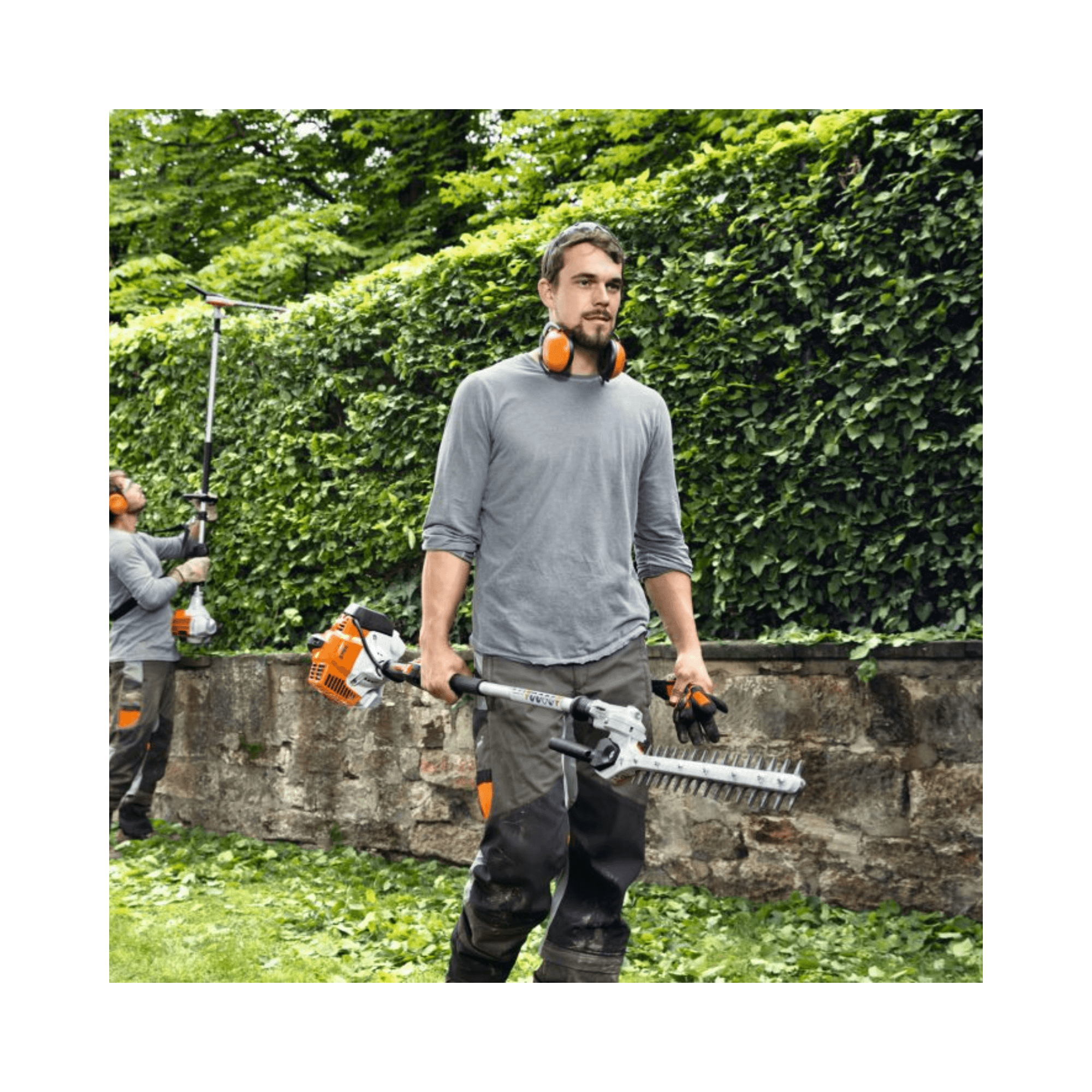 Man using HL 92 C-E Long Reach Petrol Hedge Trimmer for precise hedge shaping in a garden.