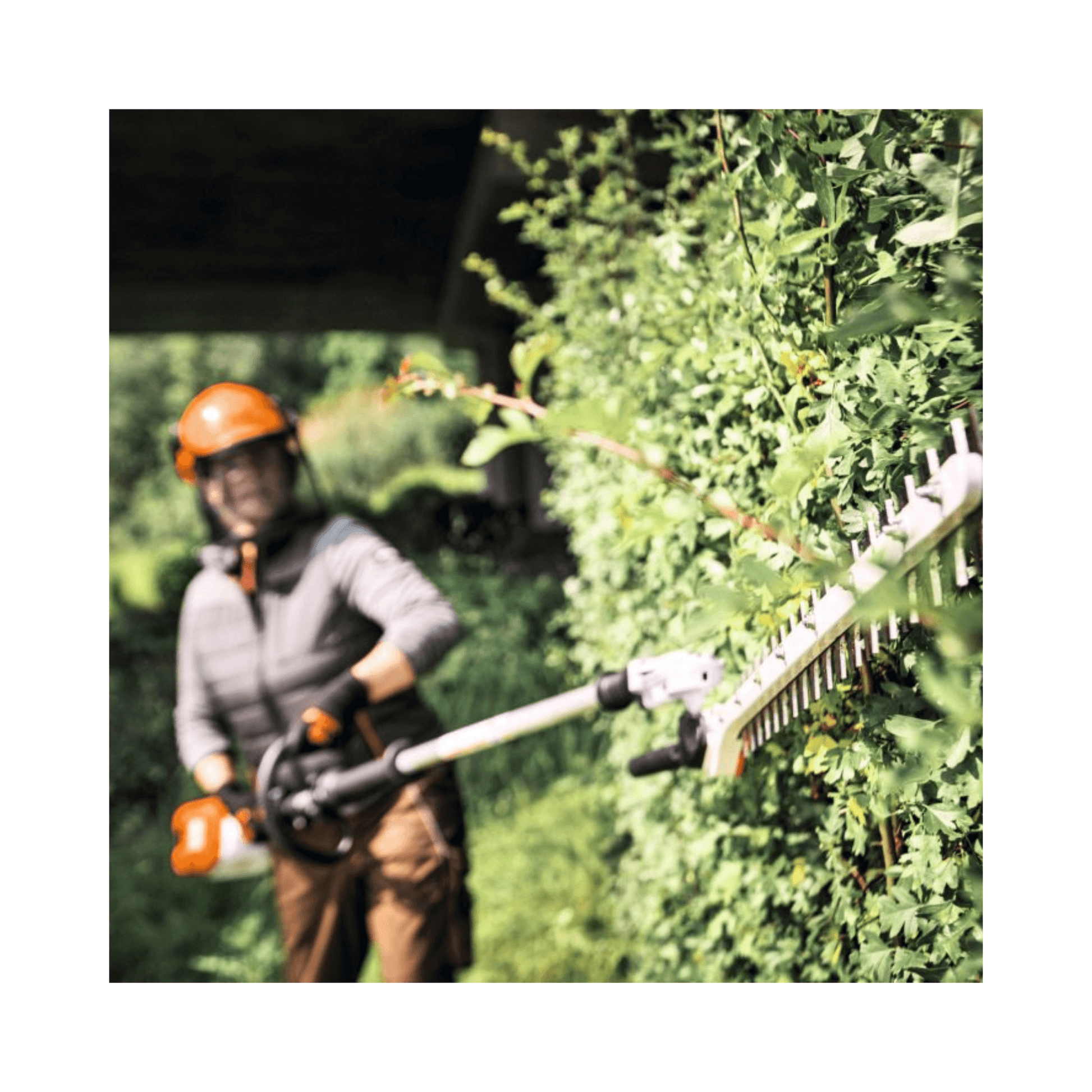 HLA 140 Cordless Long-Reach Hedge Trimmer used by a tree surgeon for precise hedge trimming.