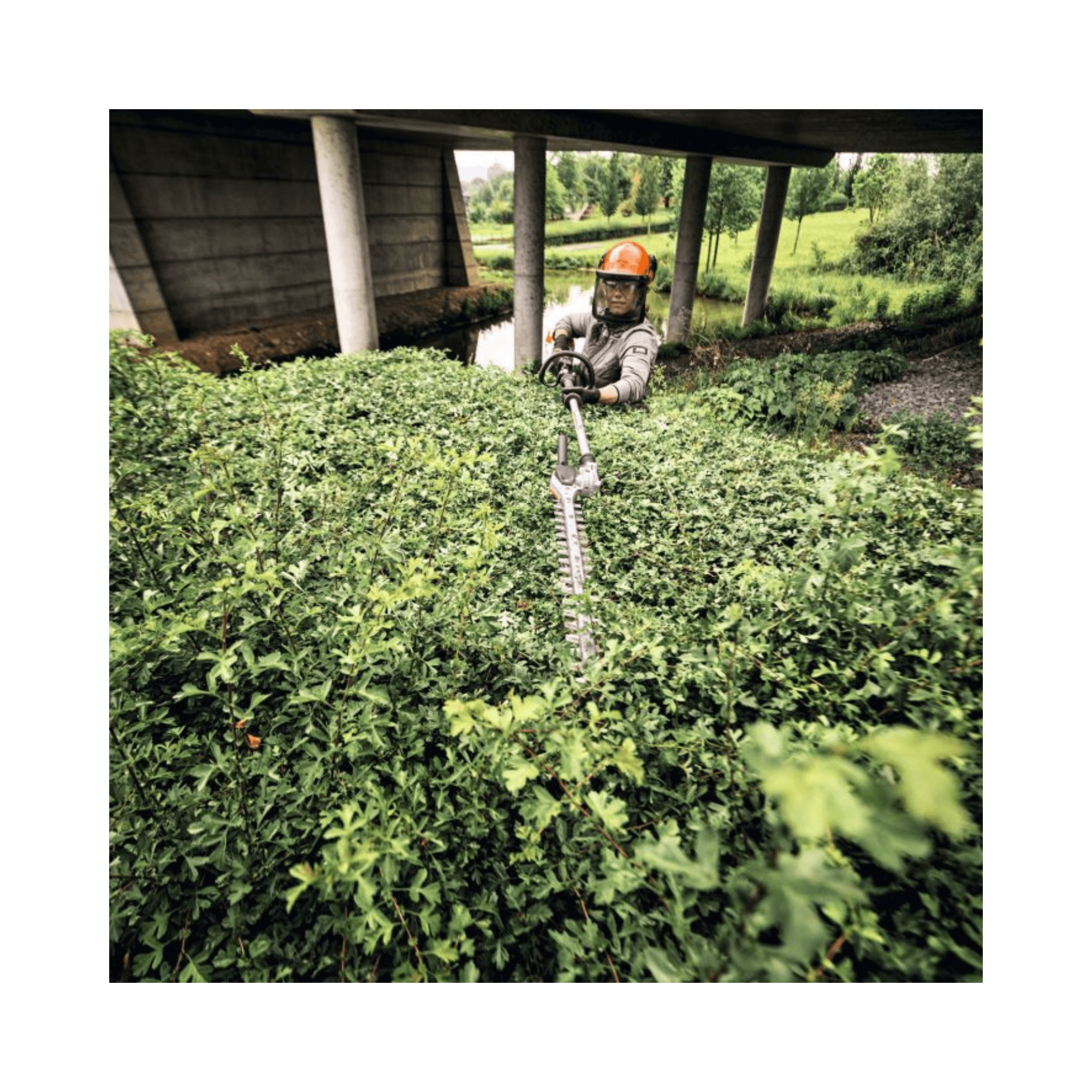 HLA 140 Cordless Long-Reach Hedge Trimmer in use by professional tree surgeon for hedge maintenance.