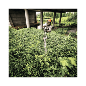 HLA 140 Cordless Long-Reach Hedge Trimmer in use by professional tree surgeon for hedge maintenance.