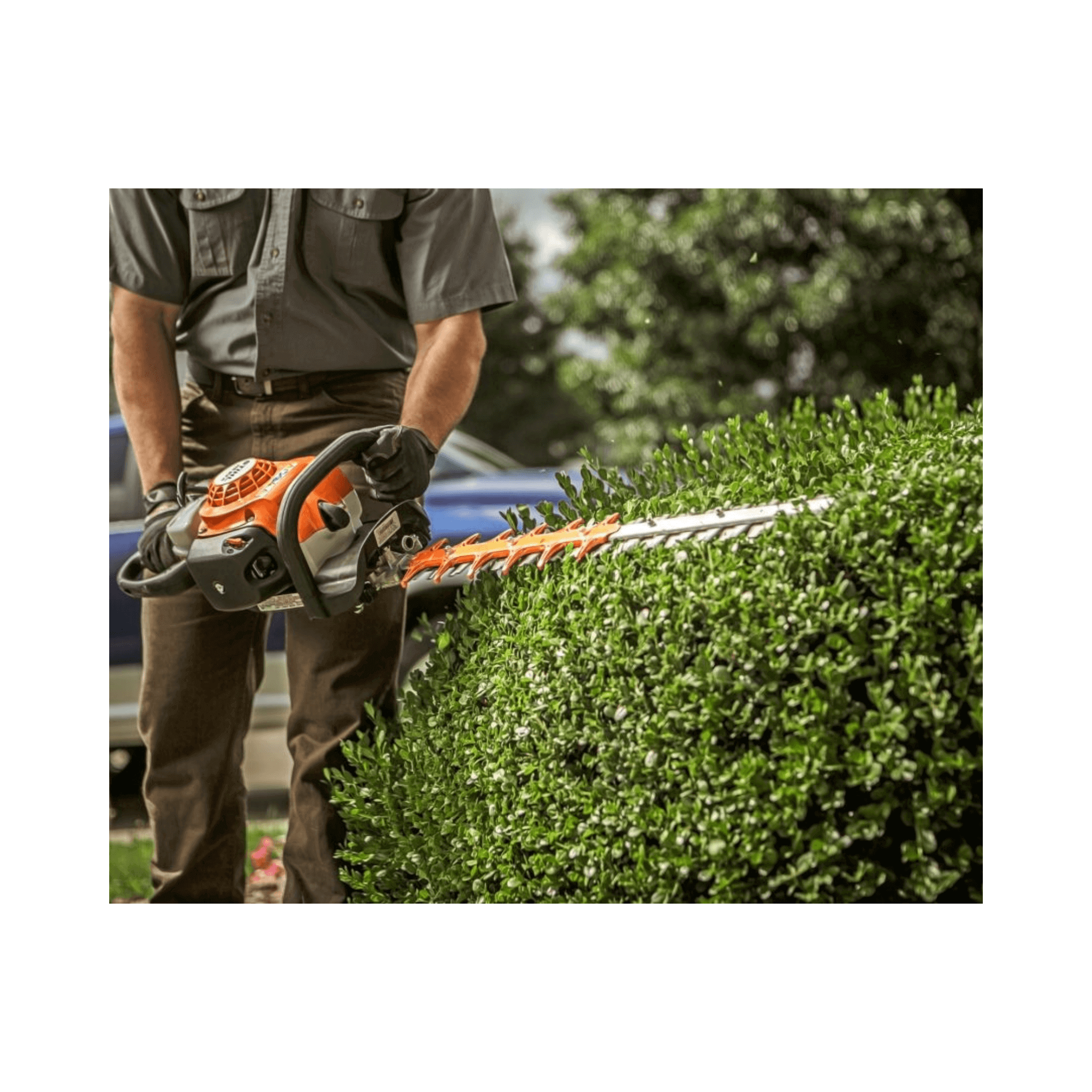 HS 82 RC-E Petrol Hedge Trimmer in action trimming a lush green hedge by a professional gardener.