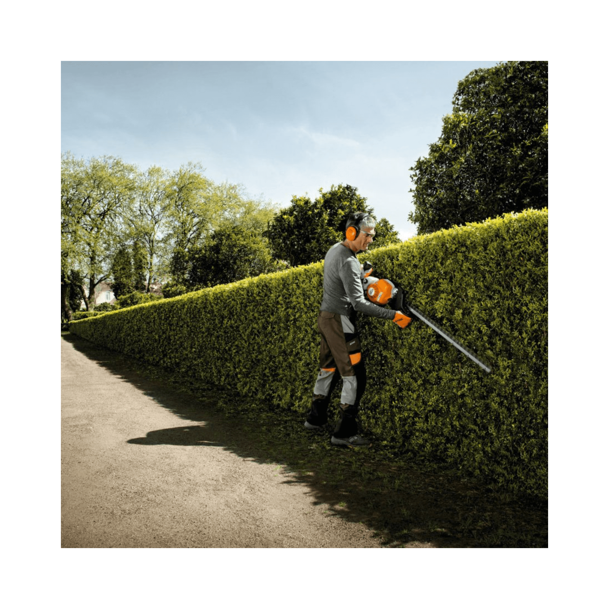 Professional using HS 87 T Petrol Hedge Trimmer 30" to trim a formal hedge in a landscaped garden.