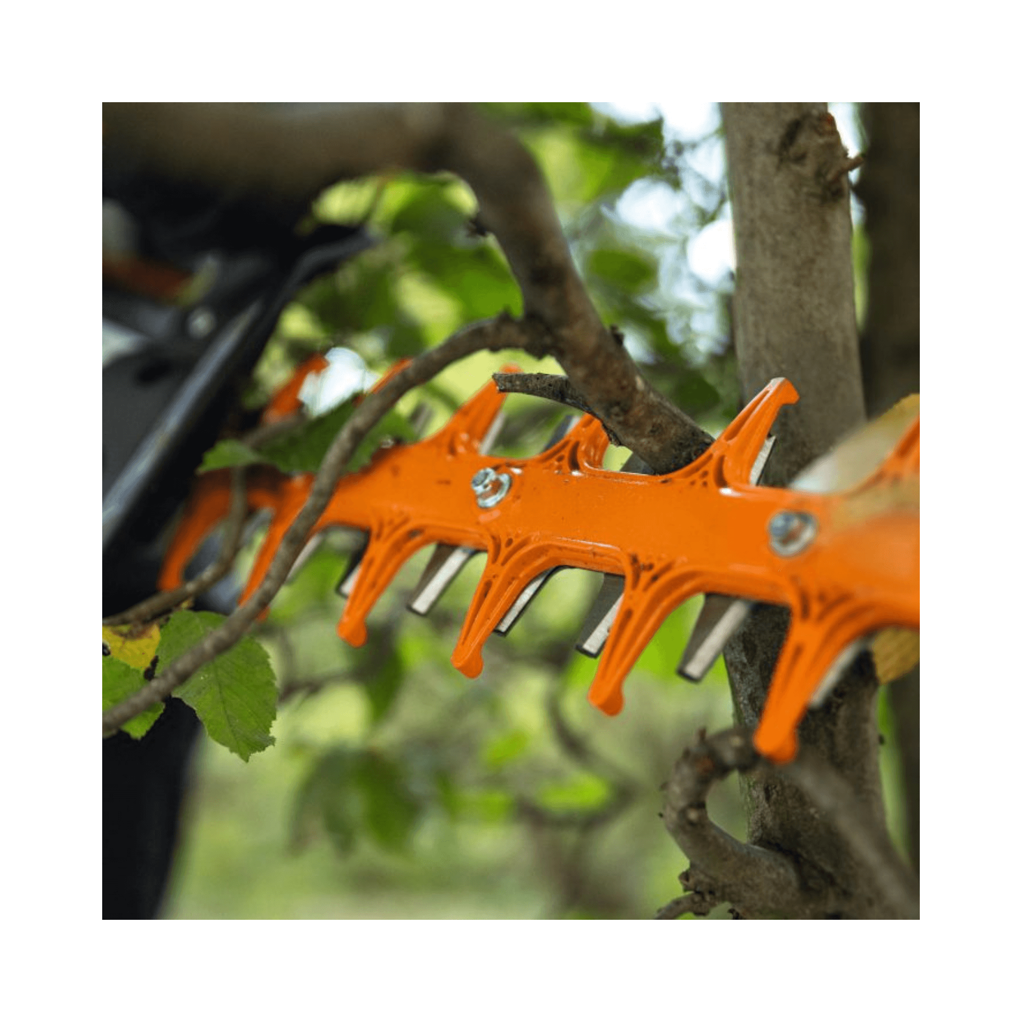 HSA 130 T Cordless Hedge Trimmer blade showcasing precision cutting in a garden setting.