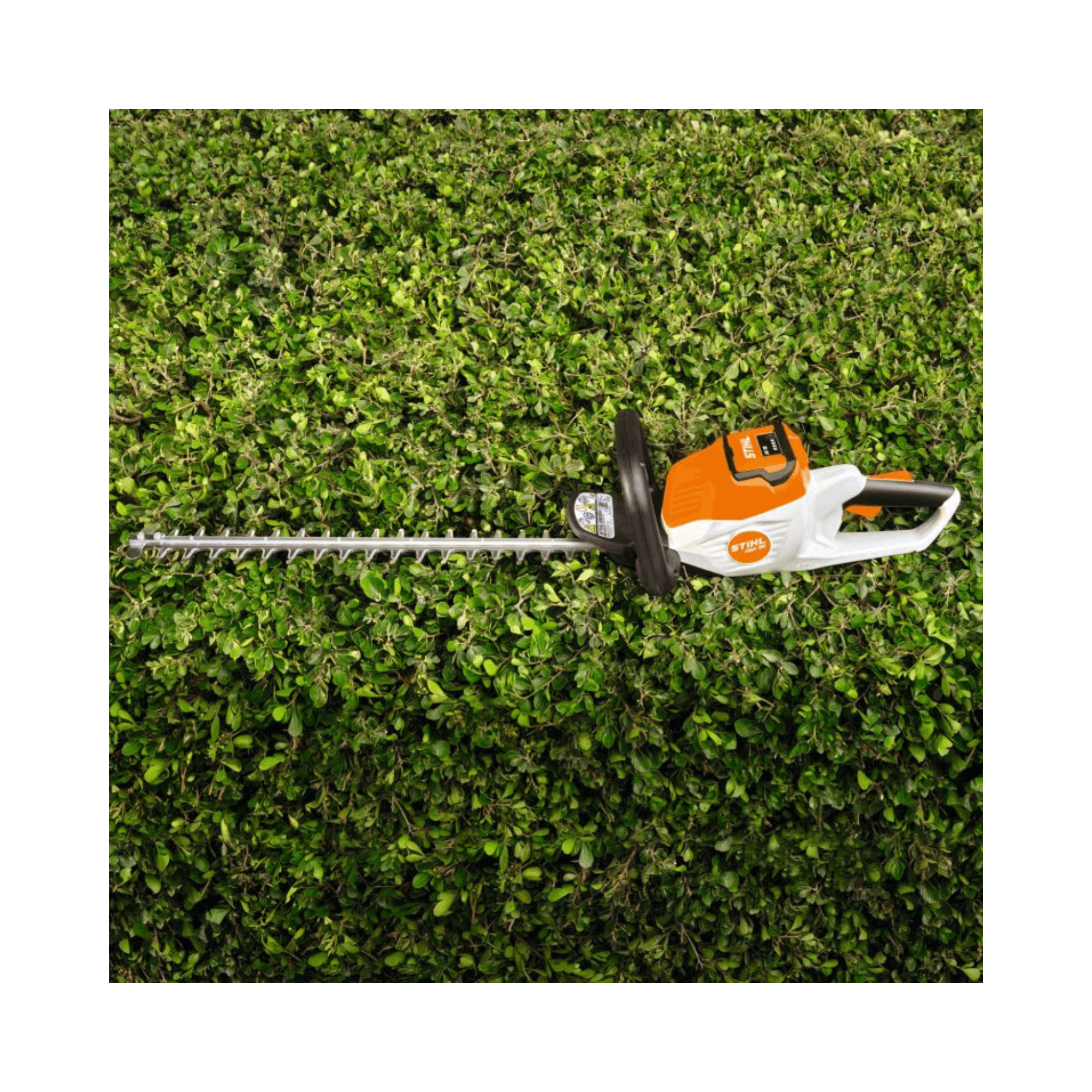 STIHL HSA 50 Cordless Hedge Trimmer on a lush green hedge, perfect for homeowners and tree surgeons.