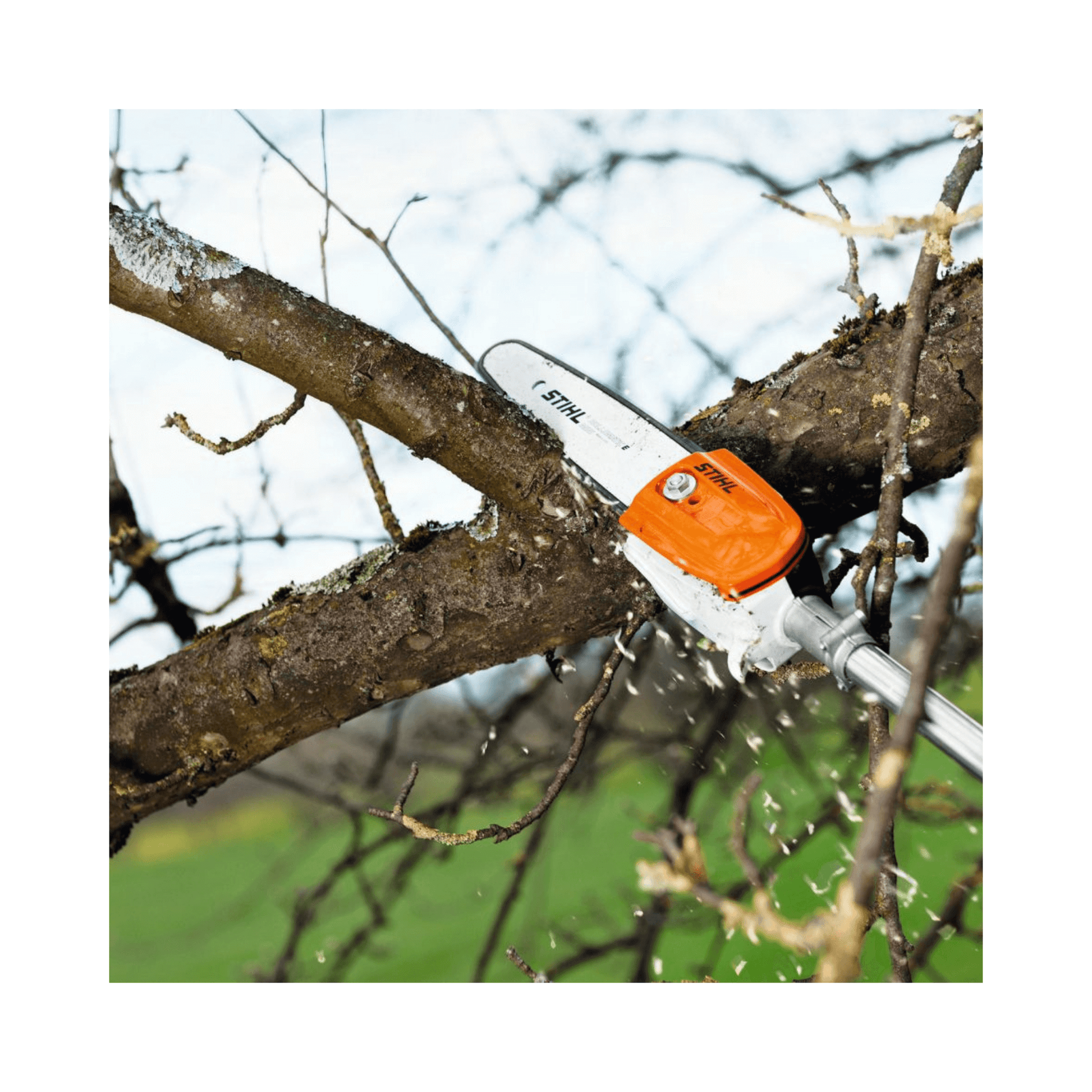 STIHL HT 105 Telescopic Petrol Pole Pruner cutting high tree branches for efficient tree maintenance.