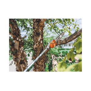 STIHL HT 135 telescopic petrol pole pruner in action, efficiently pruning a tree branch for professional tree maintenance.