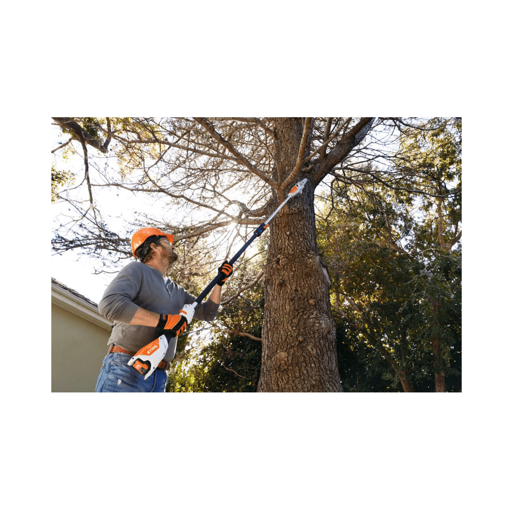 Professional tree surgeon using STIHL HT 135 telescopic petrol pole pruner for precise tree maintenance.