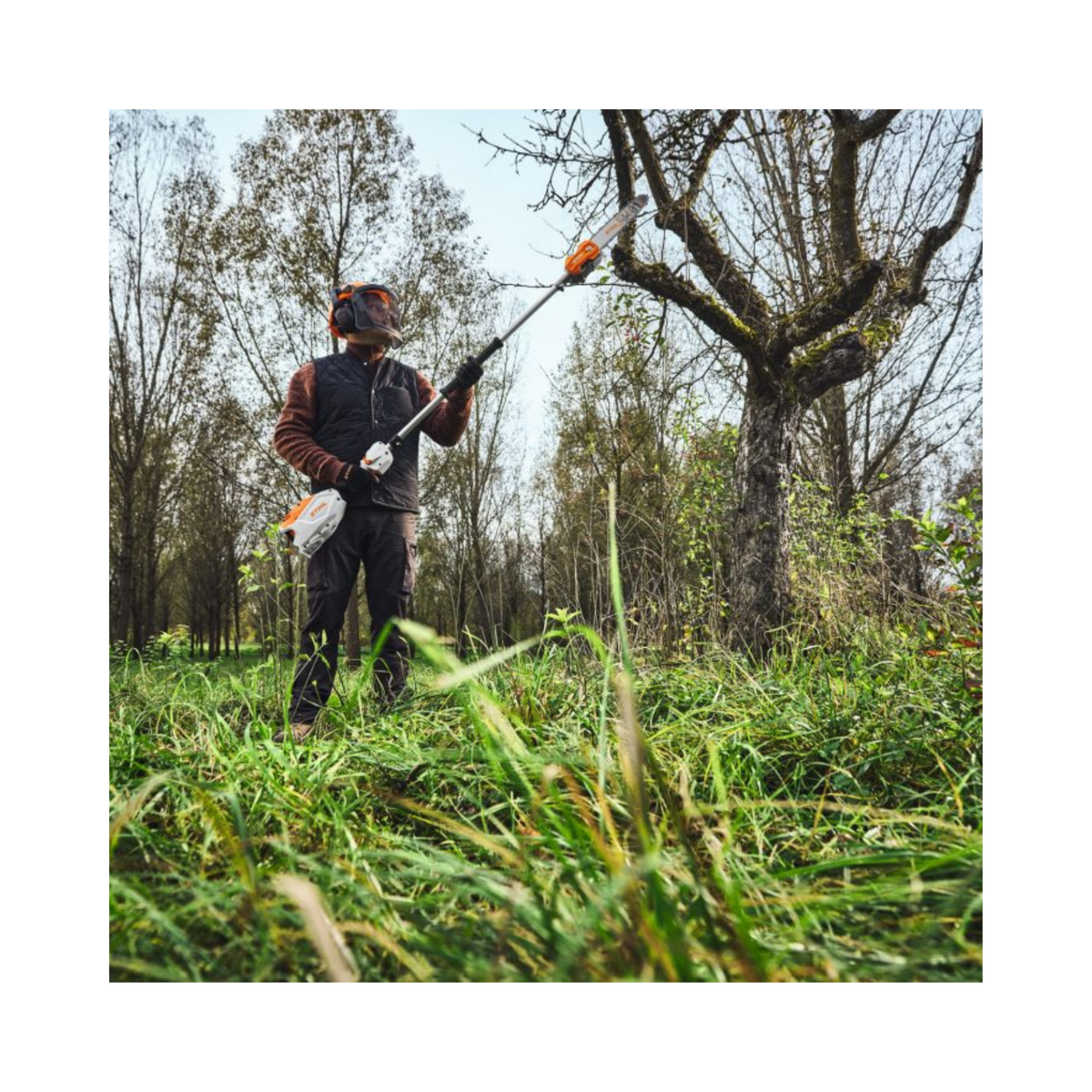 An arborist using the HTA 100 Cordless Pole Pruner for precise tree maintenance in a lush forest setting.