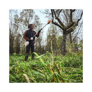 An arborist using the HTA 100 Cordless Pole Pruner for precise tree maintenance in a lush forest setting.
