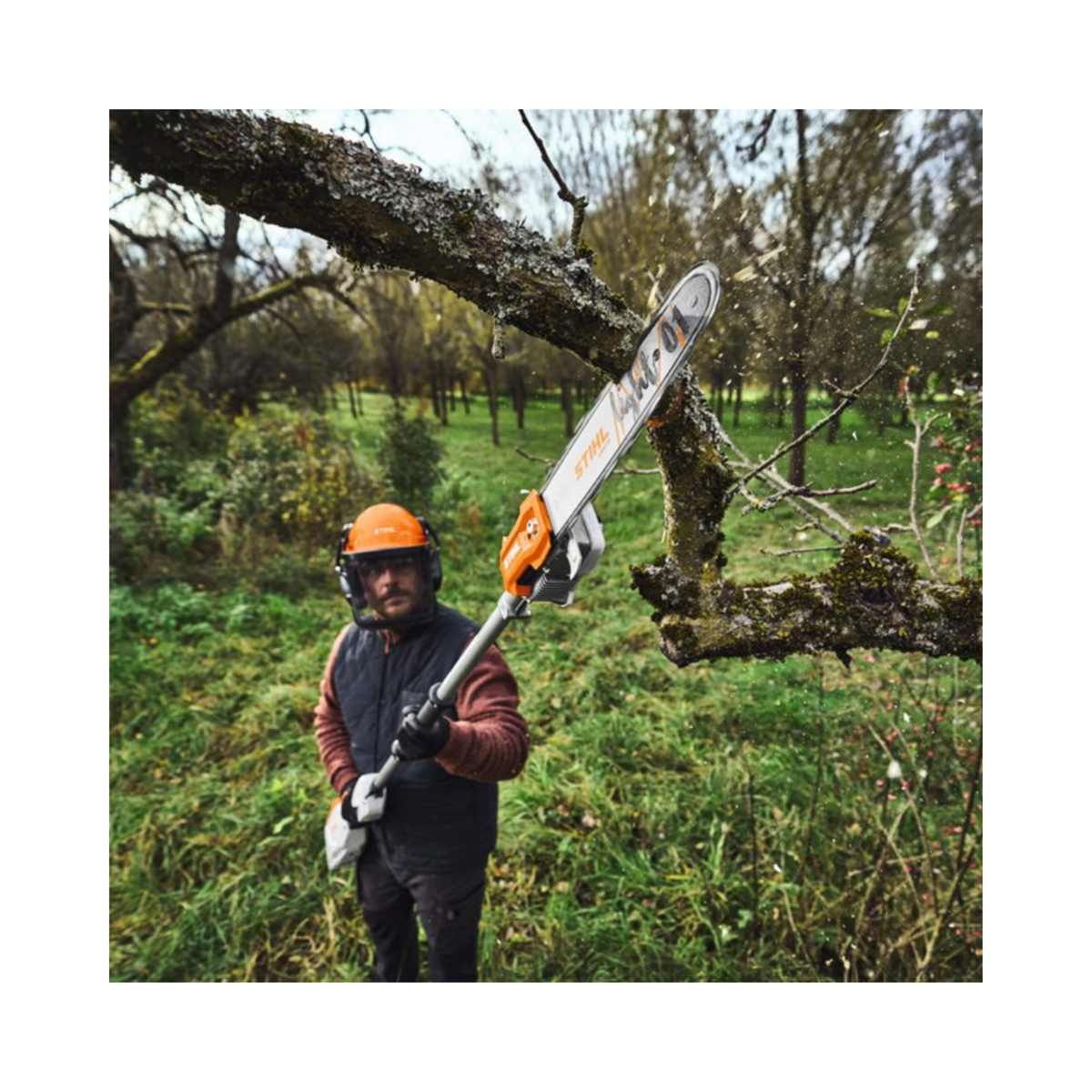 HTA 100 Cordless Pole Pruner in action, showcasing tree trimming performance by a professional arborist.