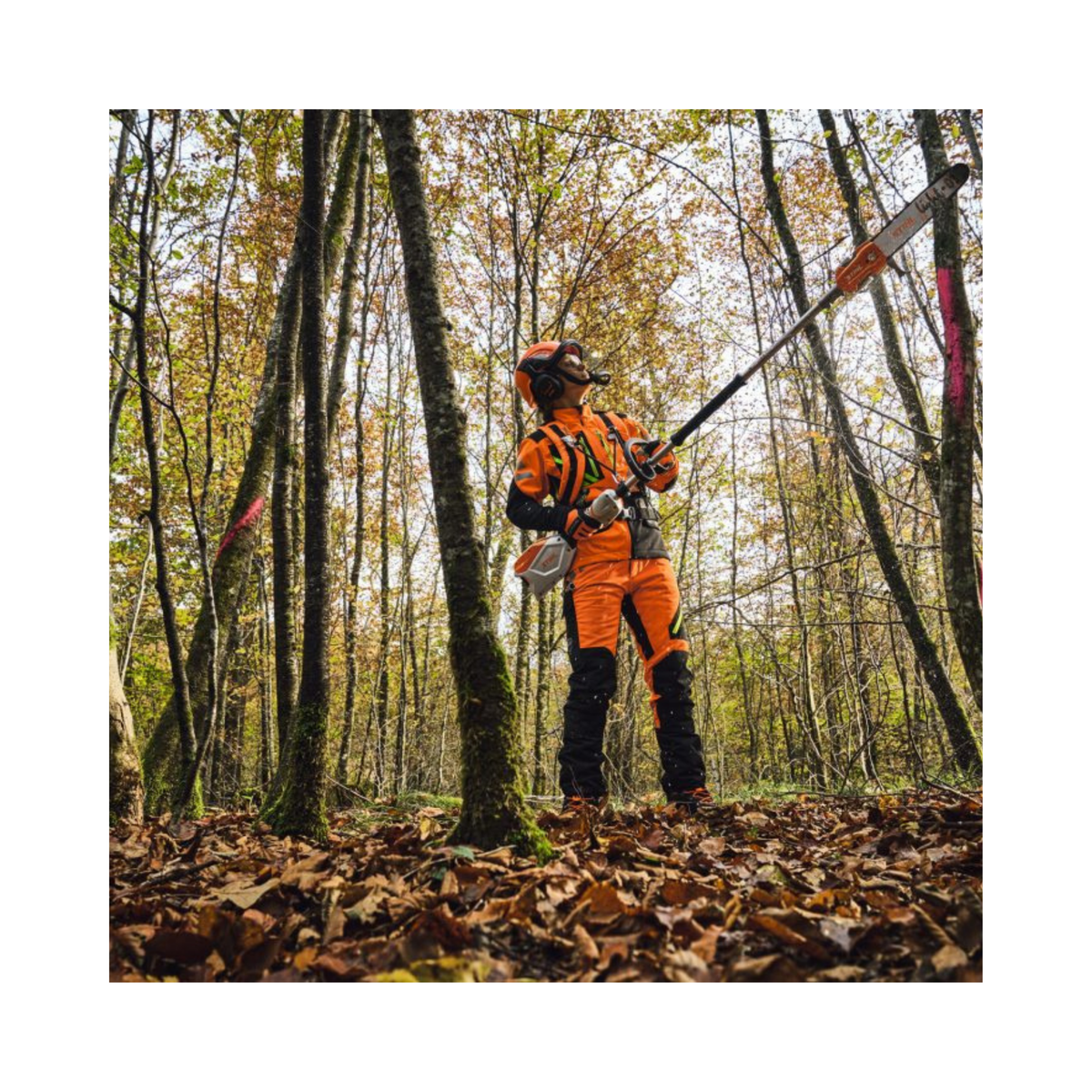 Professional using HTA 100 Cordless Pole Pruner for tree maintenance in a forest setting.