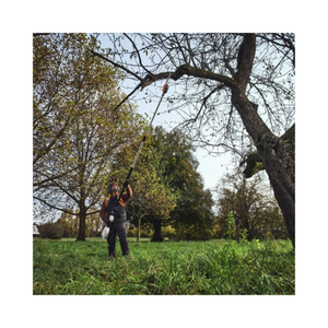 Person using HTA 110 Cordless Pole Pruner to trim branches in a scenic park setting.