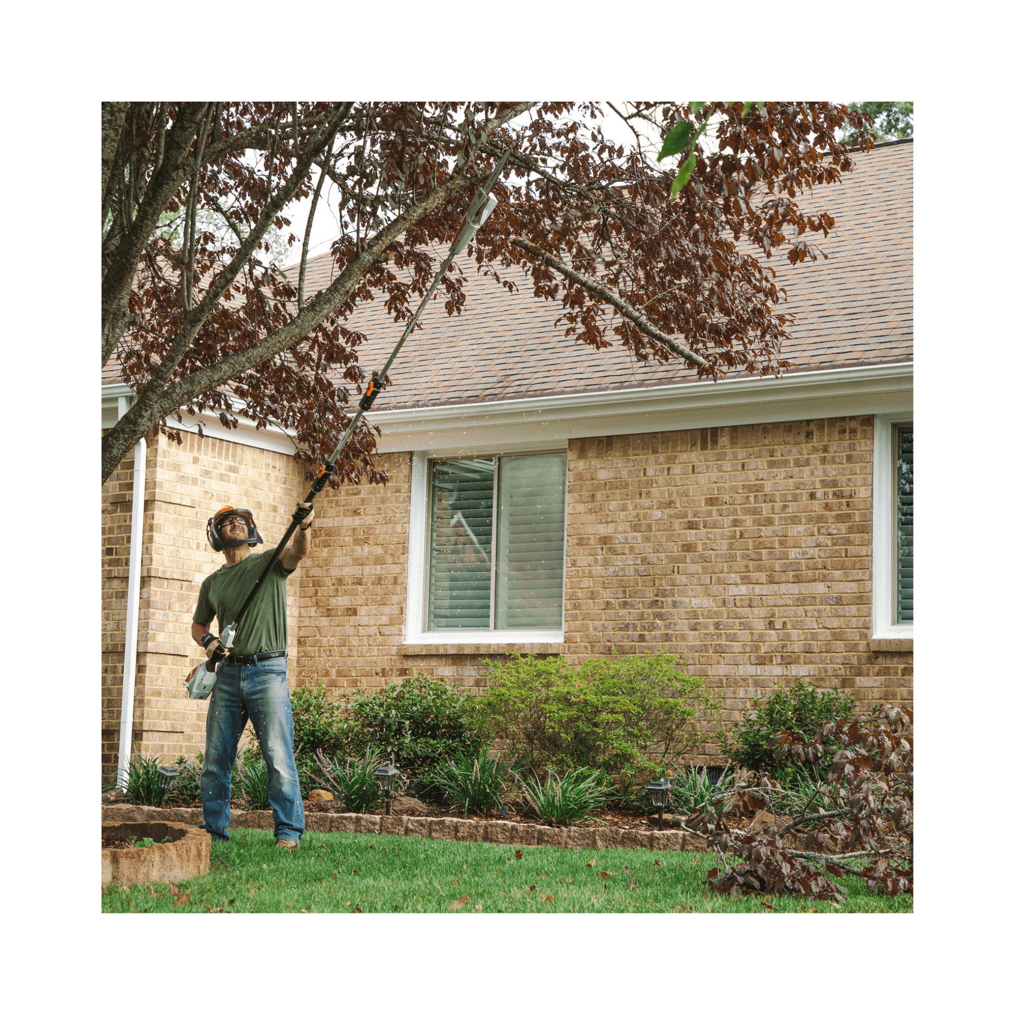 STIHL HTA 50 pole pruner being used in a garden