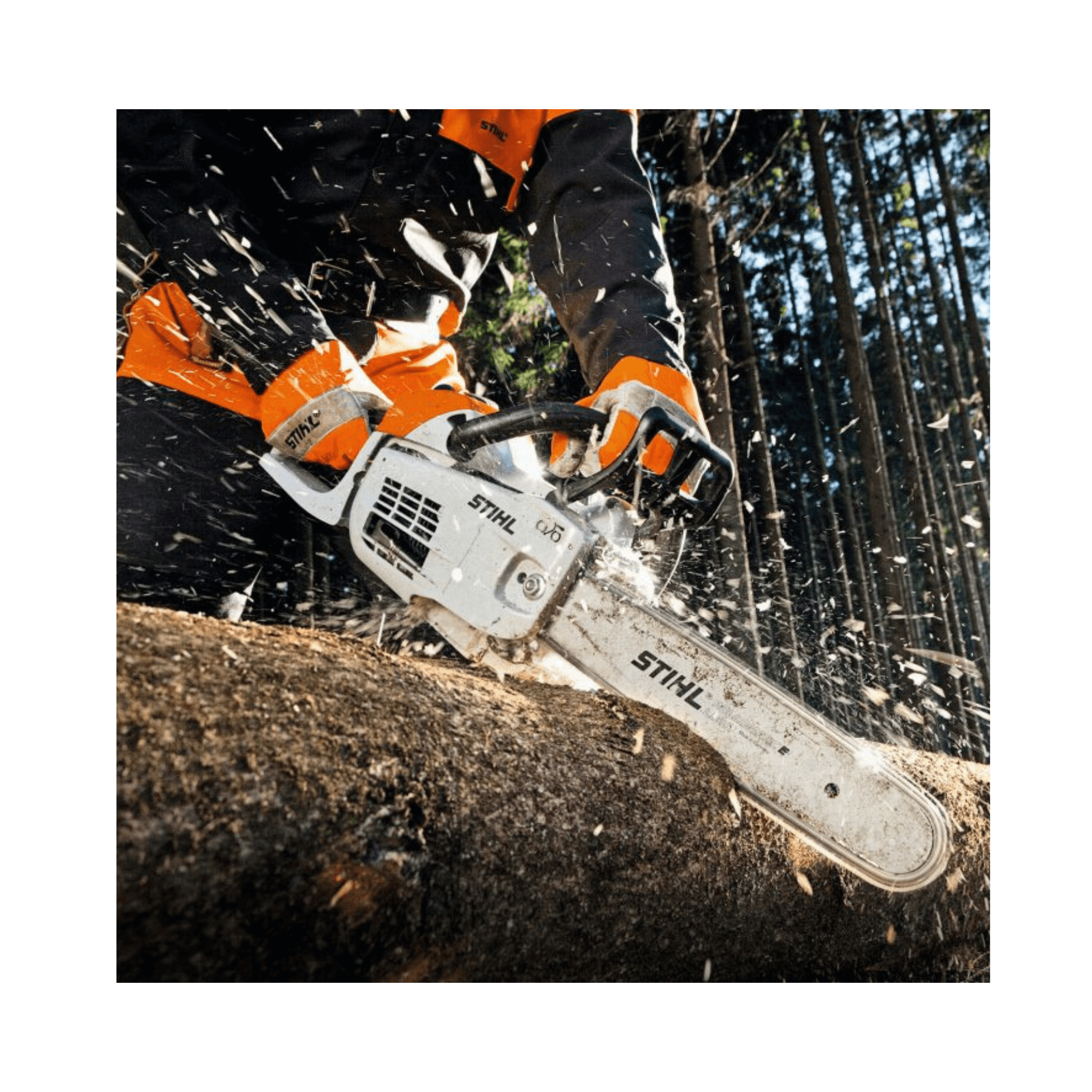 STIHL MS 201 C-M petrol chainsaw in action, perfect for tree surgeons and professional forest maintenance.
