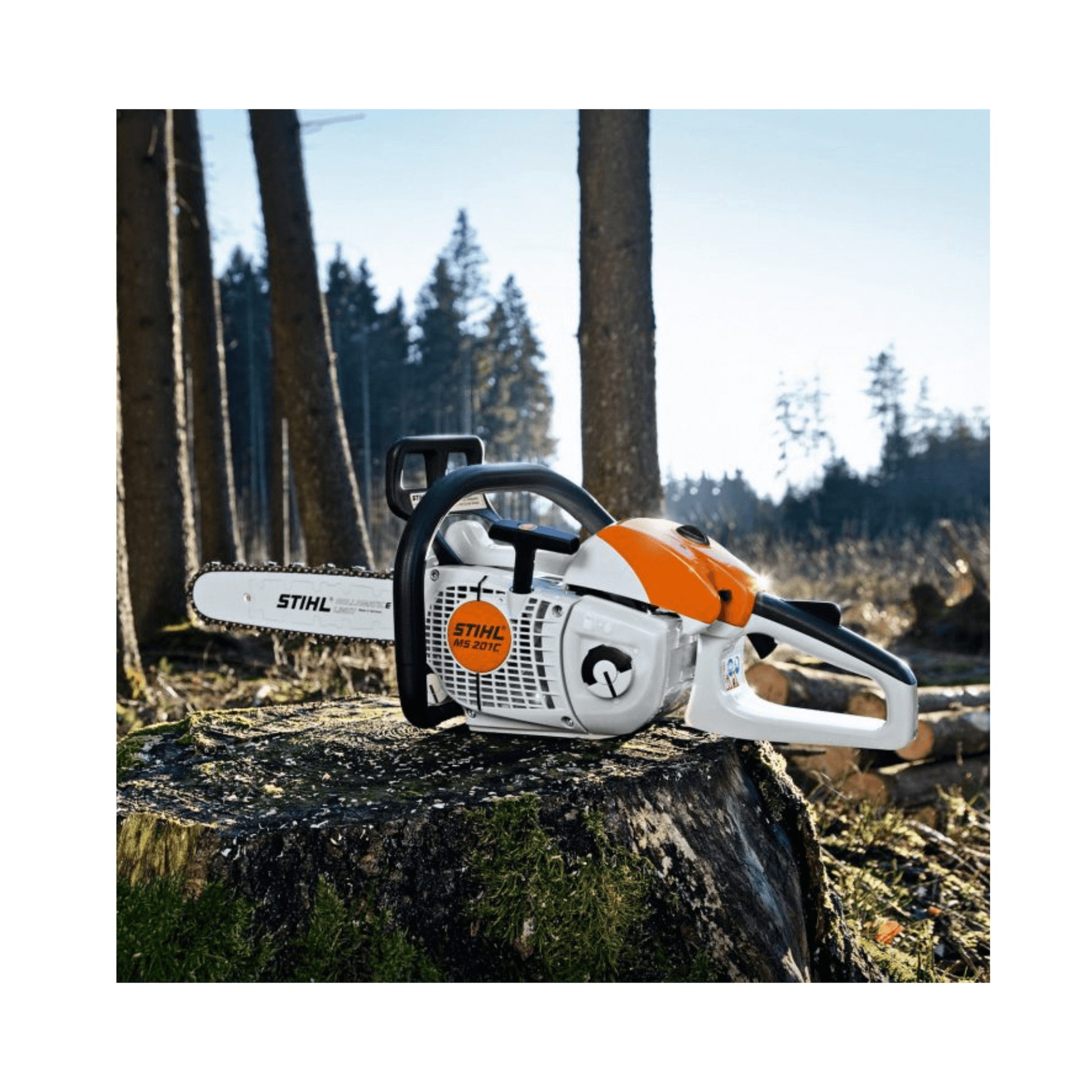 STIHL MS 201 C-M petrol chainsaw resting on a tree stump in a forest, ideal for tree surgeons and professional tasks.