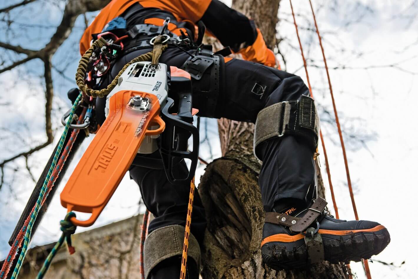 Tree surgeon climbing with STIHL MS 201 TC-M petrol chainsaw, showcasing precision and skill in tree work.