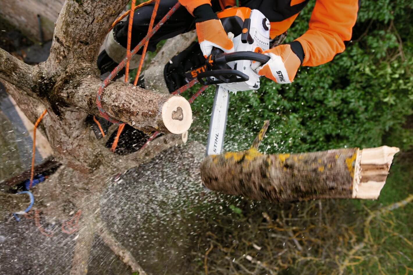 Tree surgeon using MS 201 TC-M petrol chainsaw to cut through a branch, showcasing precision and power.