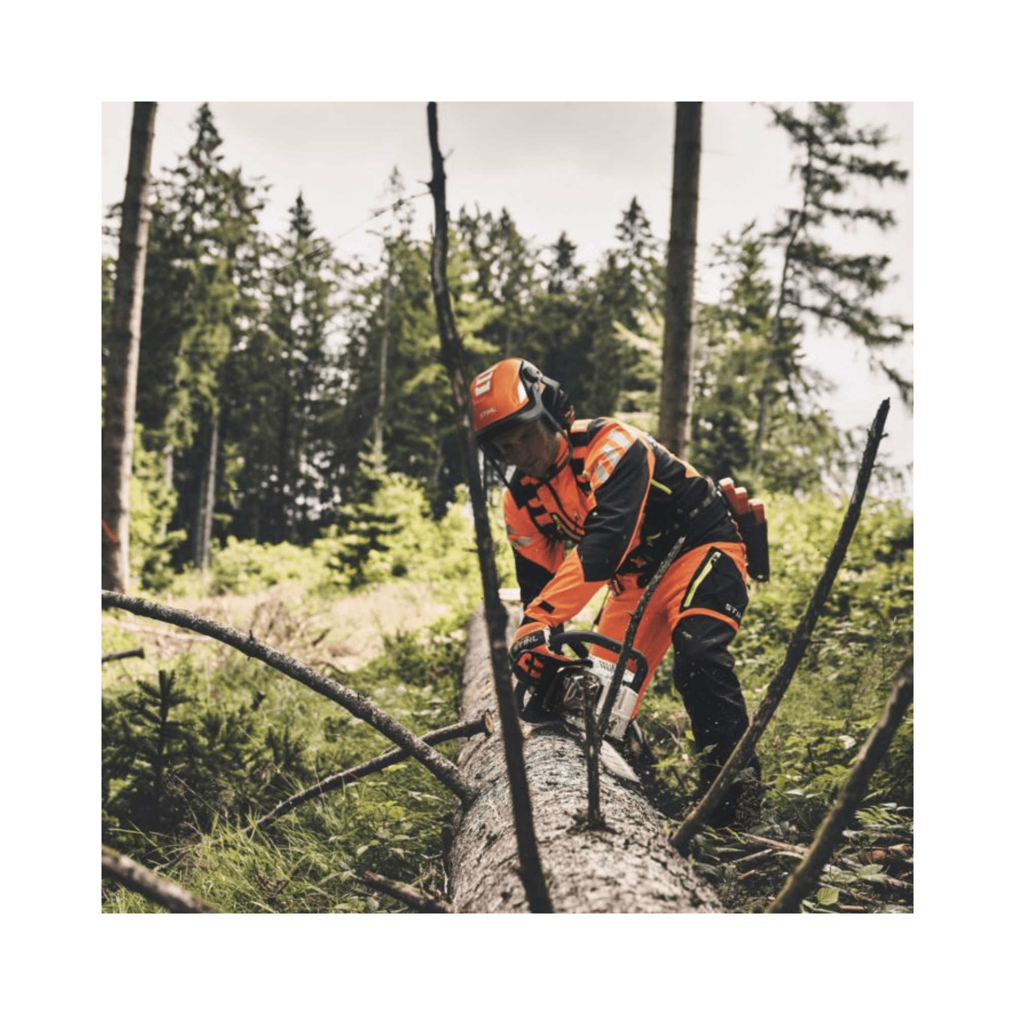 Tree surgeon using a MS 400.1 CM petrol chainsaw in a forest to fell a tree, wearing protective gear.