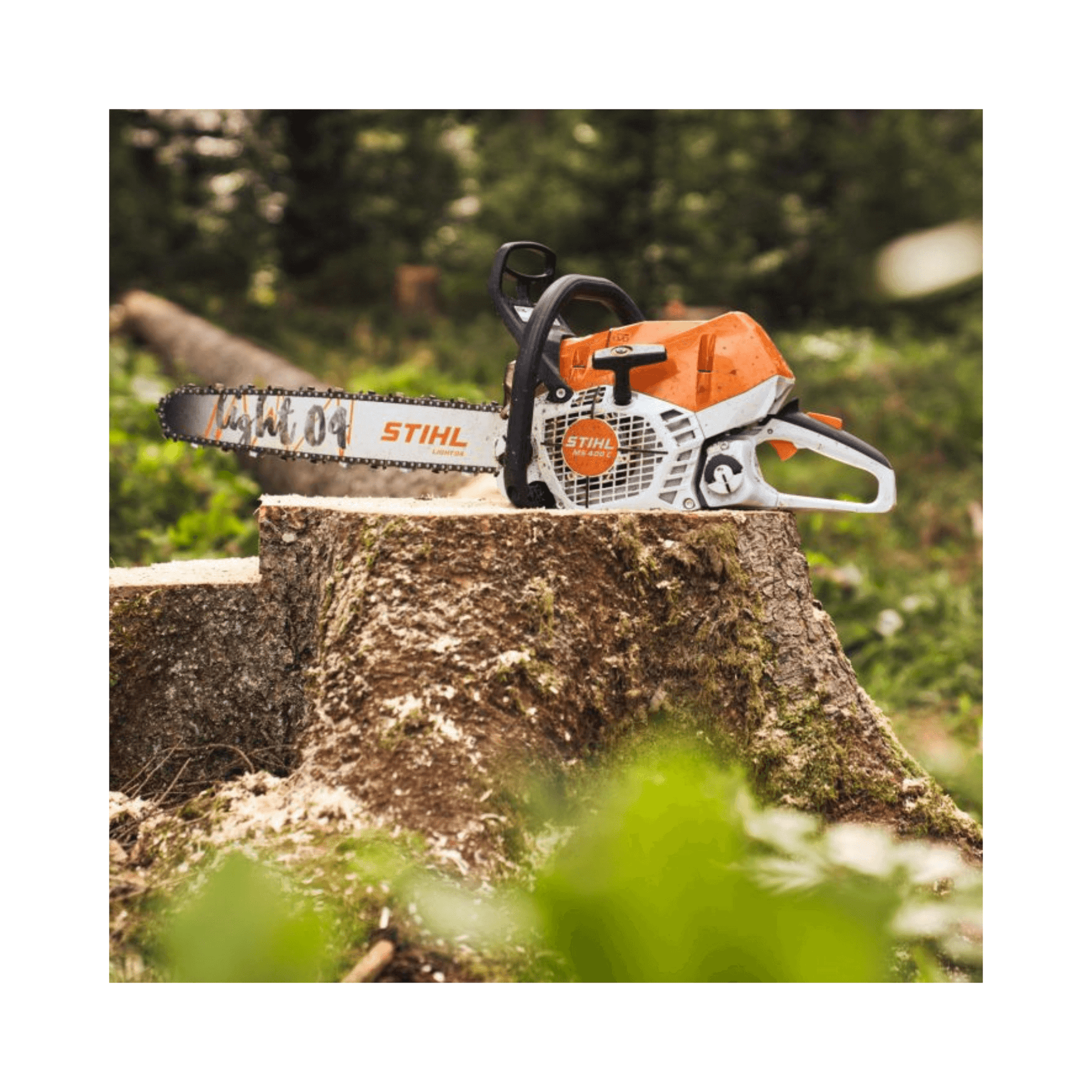 STIHL chainsaw on a tree stump with a forest background