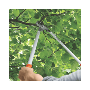 STIHL PB 30 EXTREME Bypass Tree Loppers cutting through lush green branches, ideal for tree surgeons.