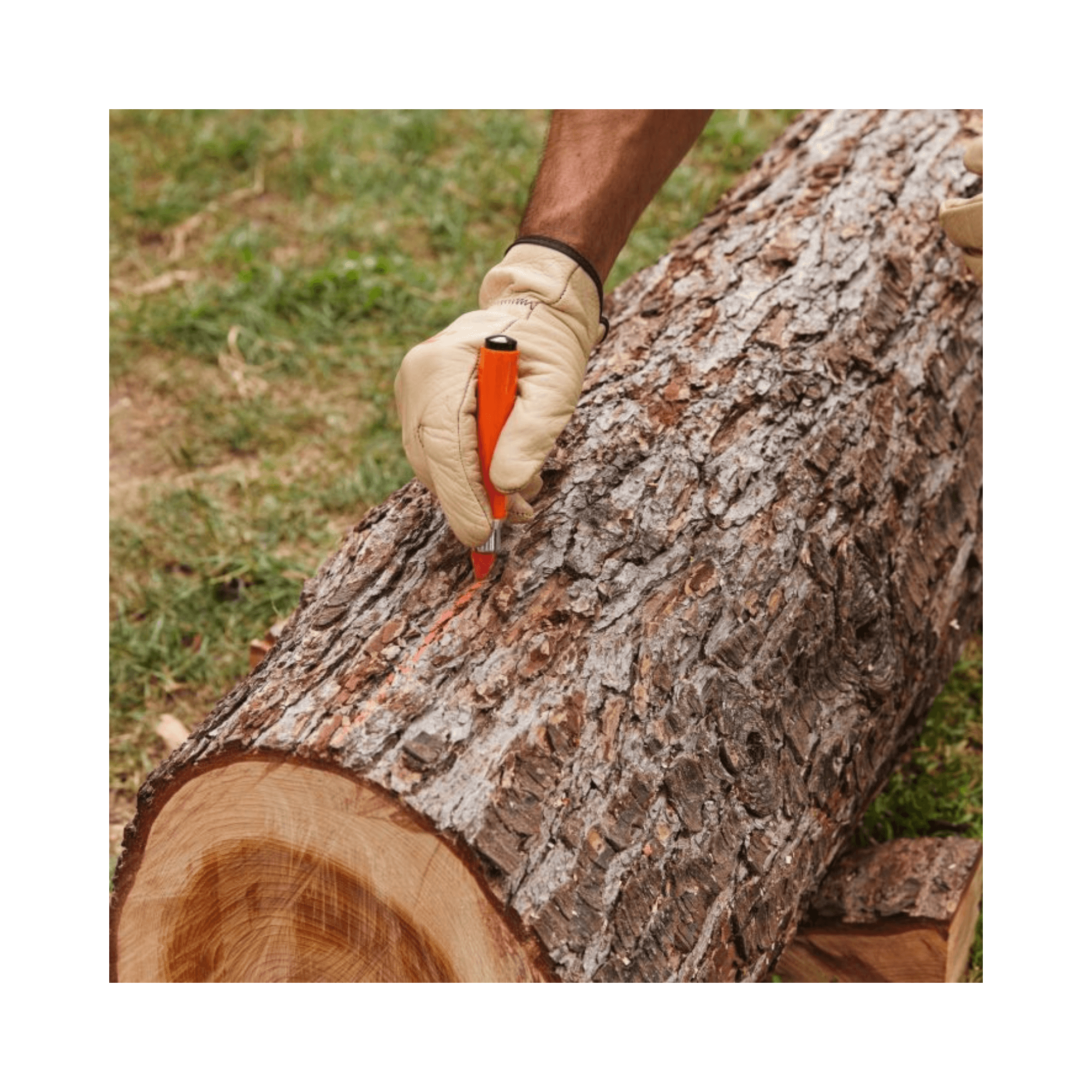 Hand using PRO Marking Chalk Pack of 12 on a log for precise marking, ideal for tree surgeons and arborists.