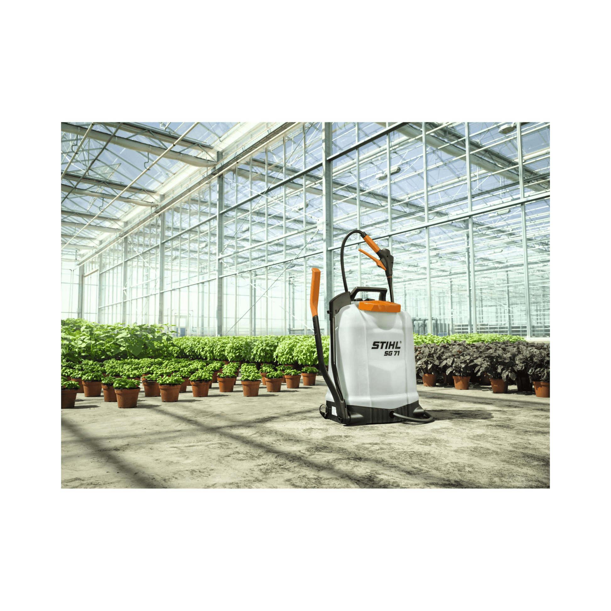 STIHL SG 71 18L backpack sprayer in a greenhouse, ideal for tree surgeons and professional landscaping.
