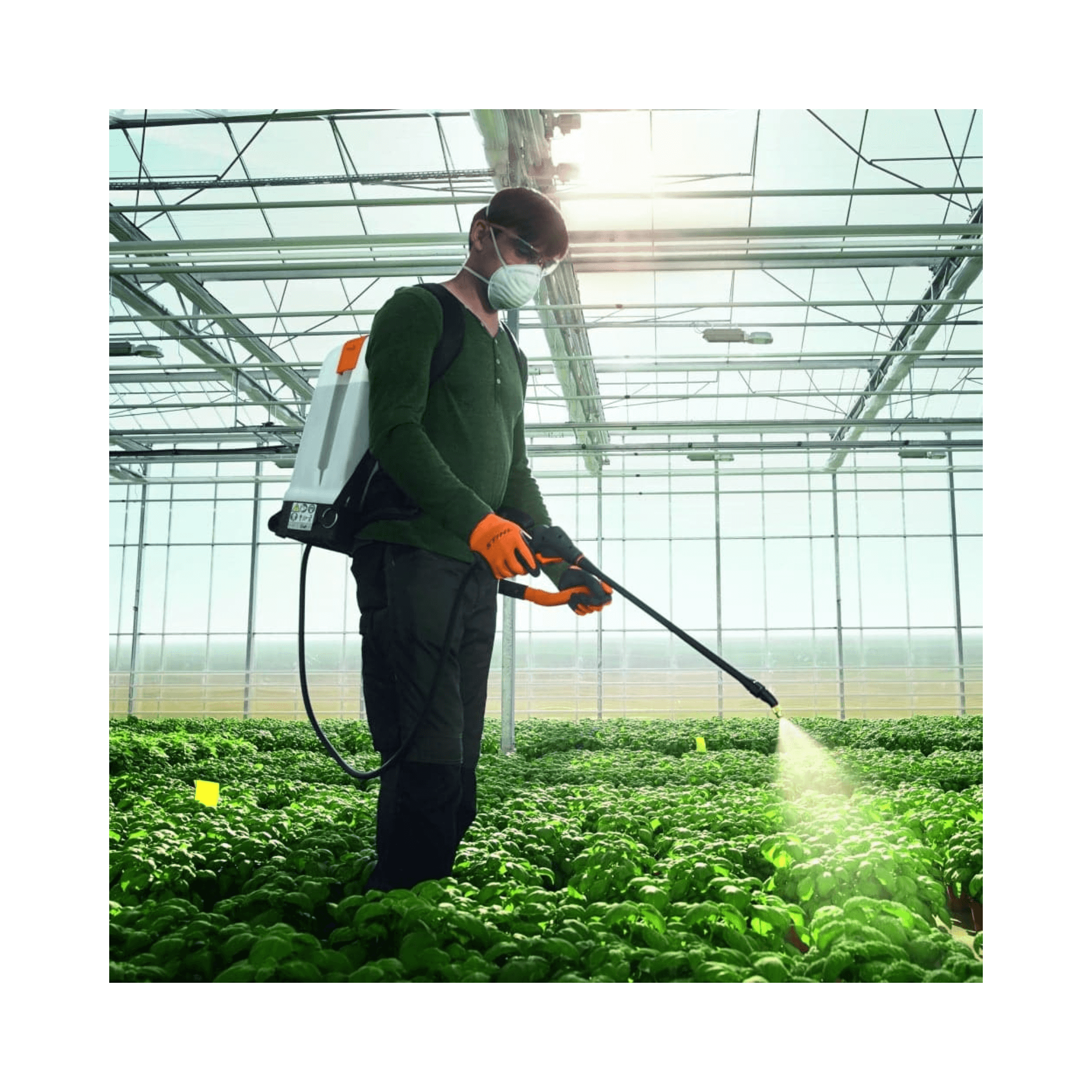 Professional wearing STIHL SG 71 backpack sprayer, spraying plants in greenhouse for effective horticulture care.
