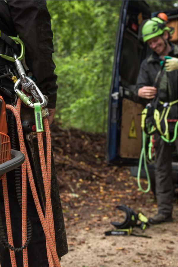 TreeRex II Tree Climbing Harness