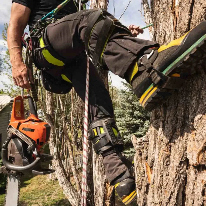 Tree climber using a chainsaw while wearing safety gear, scaling a tree with ropes and harness.