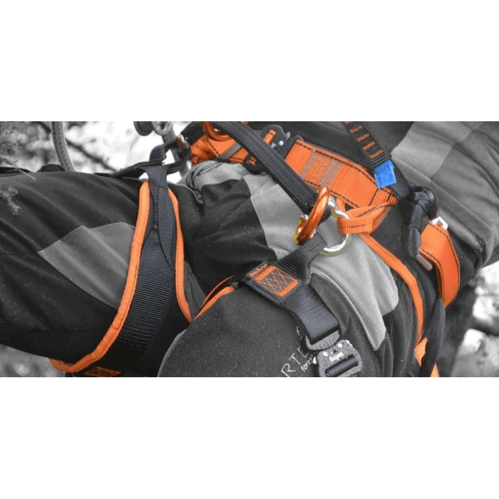 Close-up of Treehog TH5000 tree climbing harness, featuring adjustable straps and quick release buckles for tree surgeons.