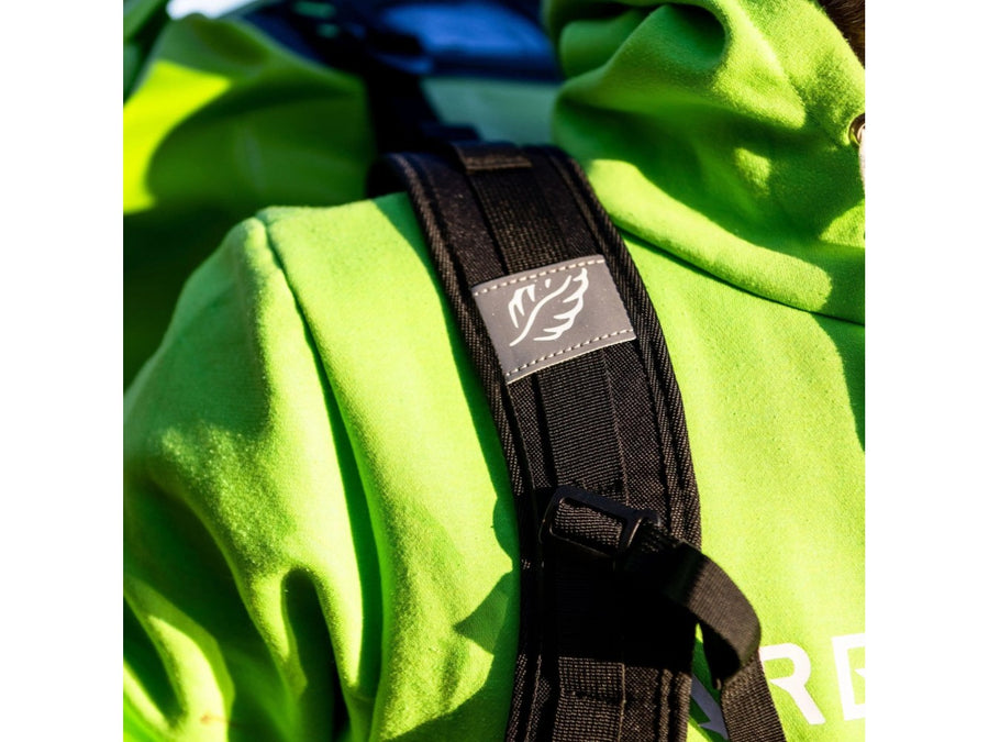 Removable padded harness