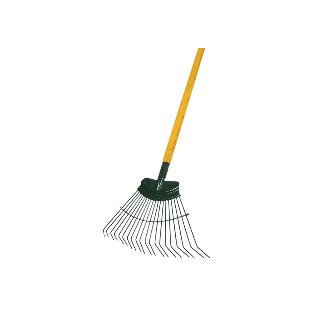 Bulldog Springbok 20 tine lawn rake with hardwood handle, ideal for removing leaves and debris in lawn care.