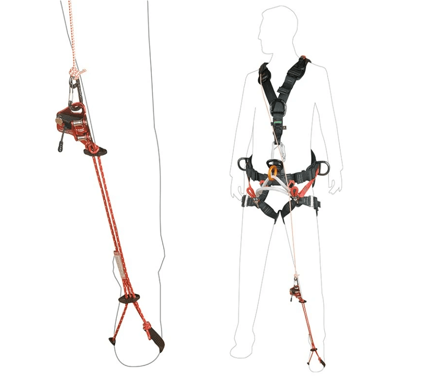 Responsive bungee cord