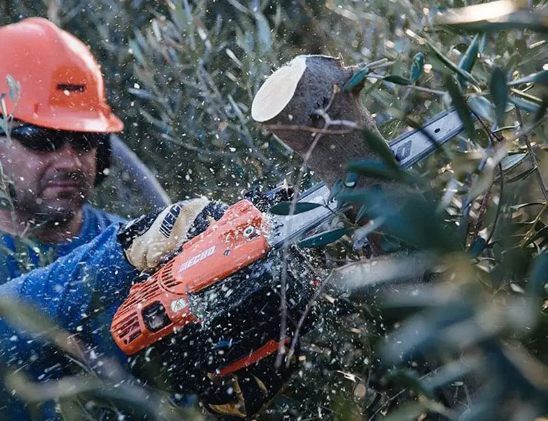 Tree surgeon using a chainsaw to prune trees, wearing safety gear and surrounded by greenery.