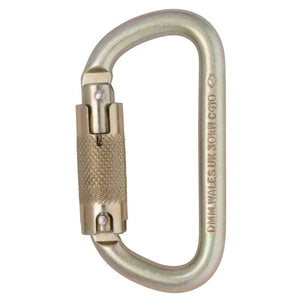 DMM Steel Equal D Carabiner for tree surgeons, strong and versatile for climbing and rescue applications.