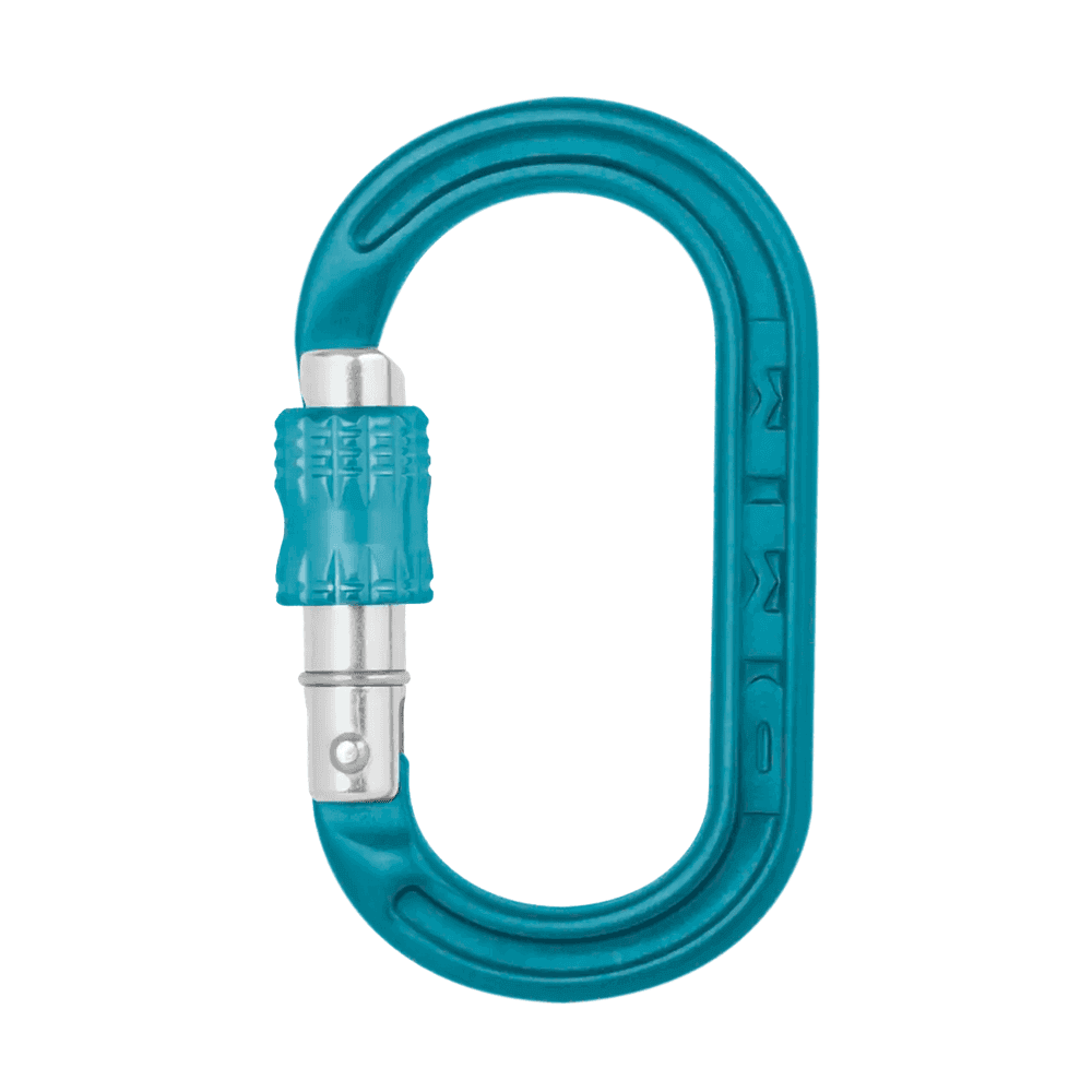 DMM XSRE Lock Mini Carabiner in blue, compact design with screw gate closure for tree surgeons and outdoor enthusiasts.