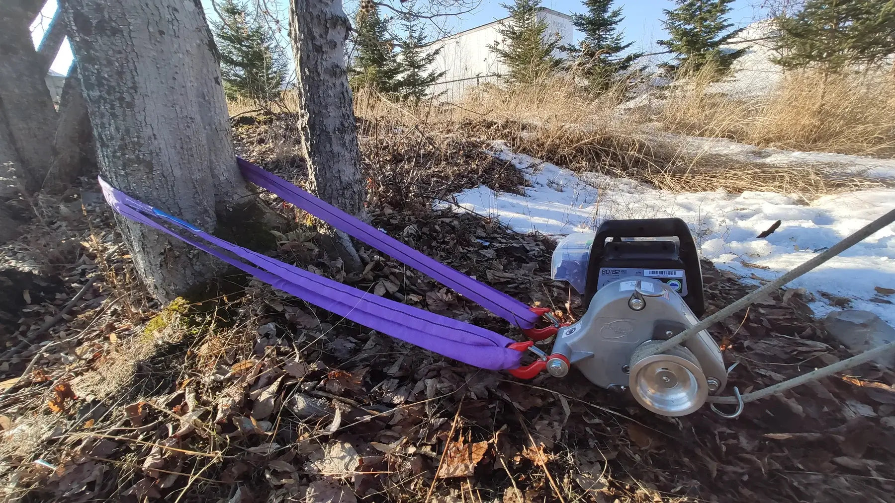 Portable winch with endless round polyester slings used for tree surgeon tasks in a forest setting.