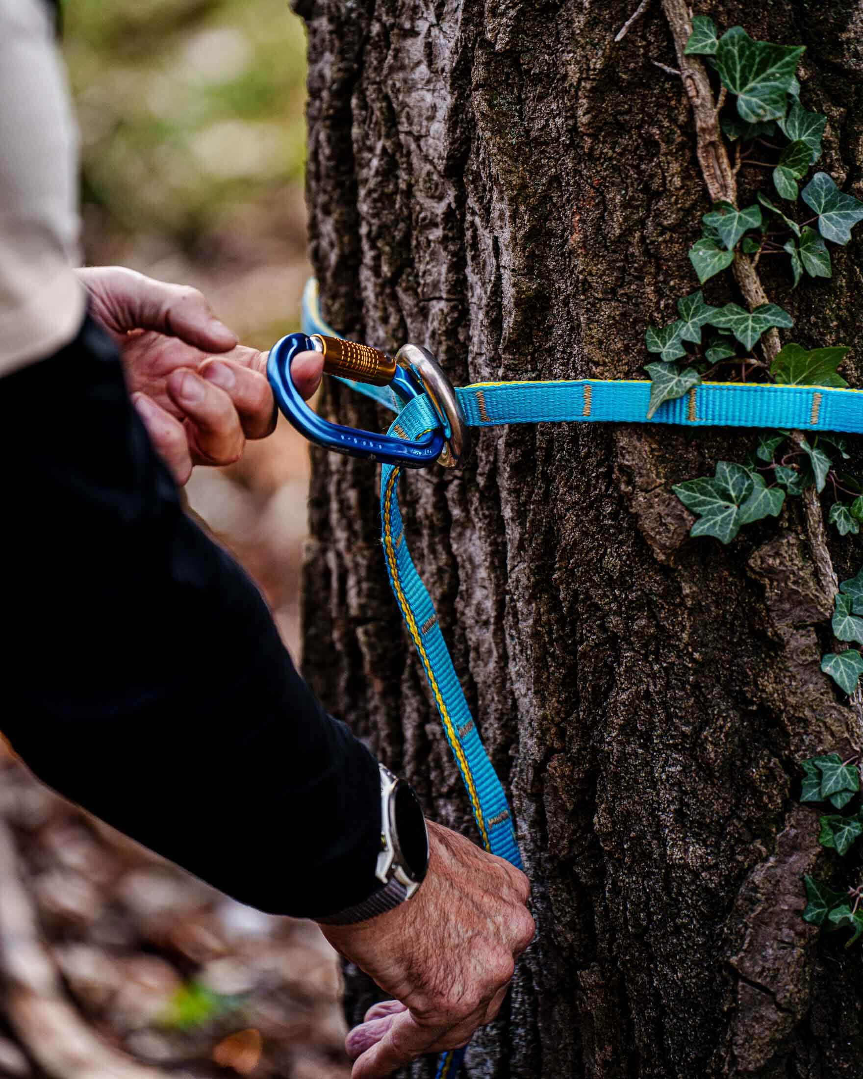 Tree surgeon using a blue cambium saver with carabiner on a tree trunk, showcasing aerial safety gear.