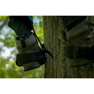 Close-up of Ergo Steel Climbers on a tree trunk used by a tree surgeon for climbing.