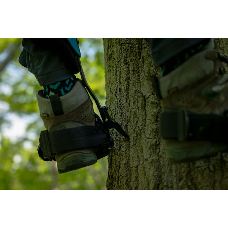 Close-up of Ergo Steel Climbers on a tree trunk used by a tree surgeon for climbing.