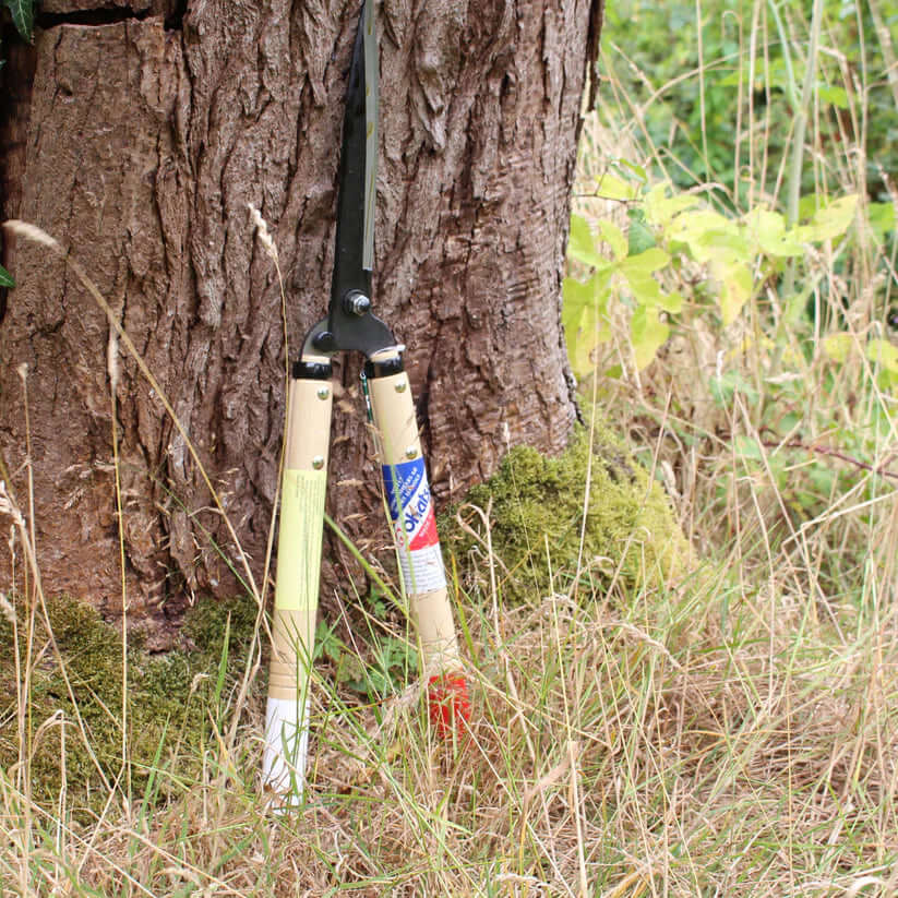 Okatsune 217 hedge shears resting against a tree, ideal for tree surgeons and precision pruning.