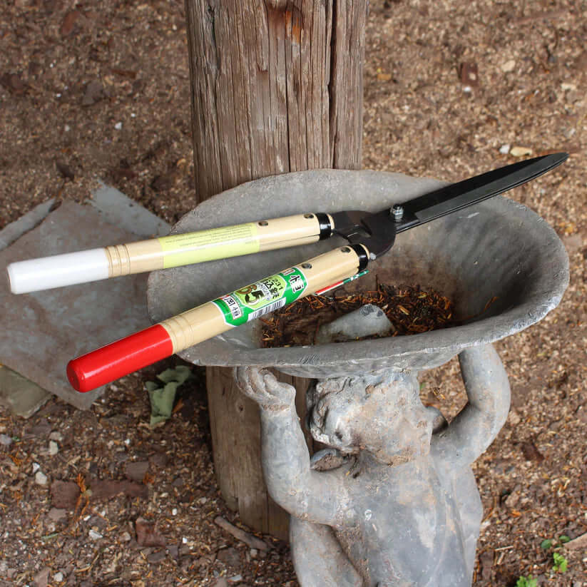 Okatsune 231 hedge shears resting in a garden bowl, ideal for precise pruning and topiary work.