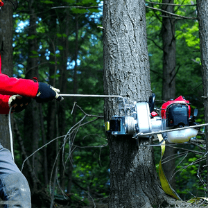Tree surgeon using PCW4500 petrol pulling winch on a tree trunk in a forest setting.